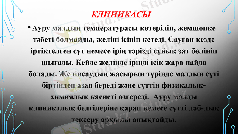 Slide 3