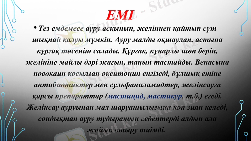 Slide 6