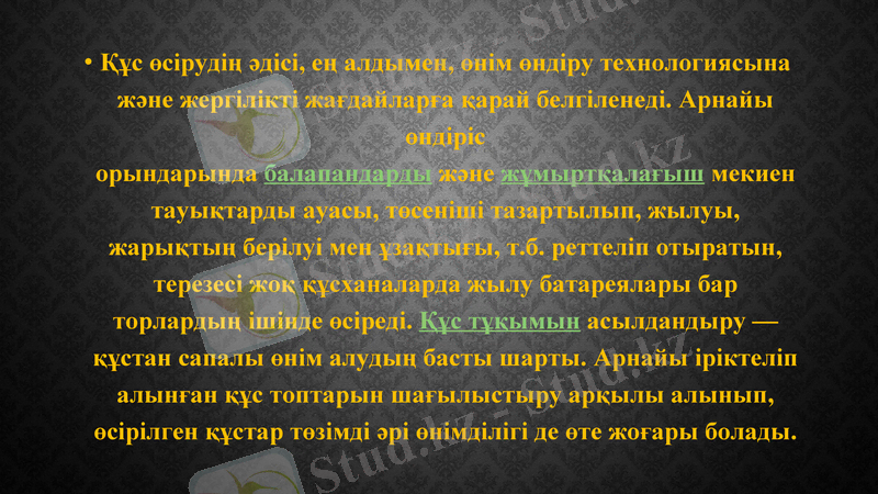 Slide 10