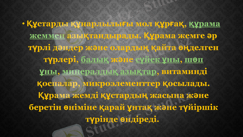 Slide 12
