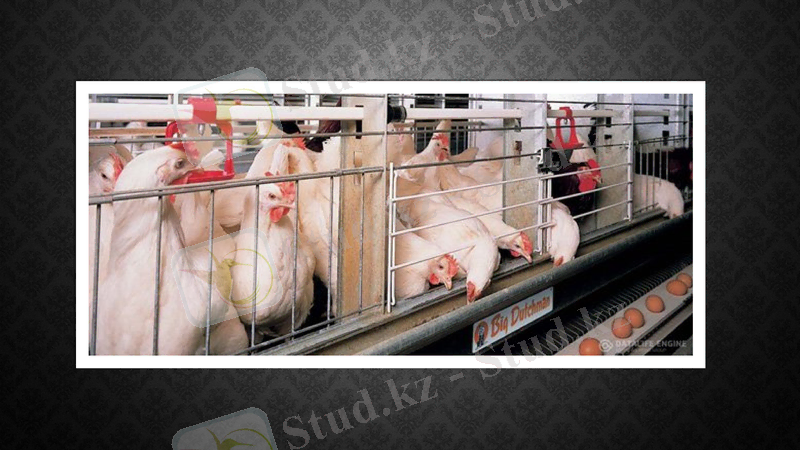 Slide 7
