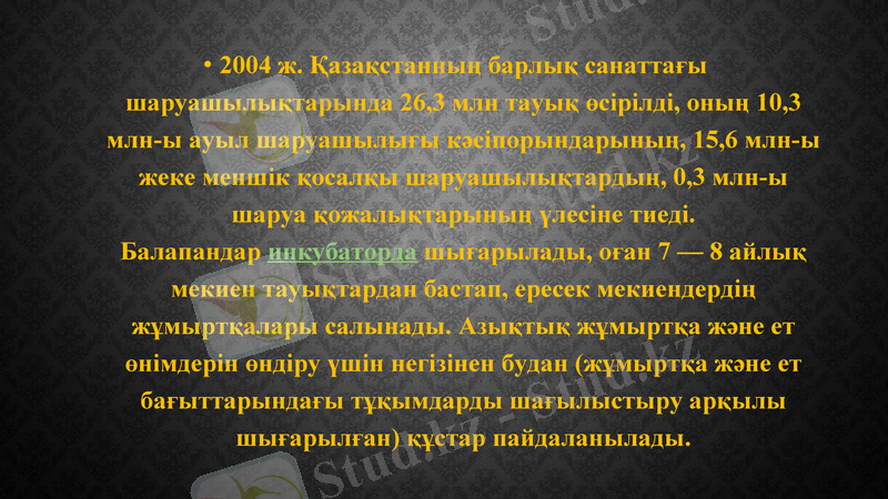Slide 8