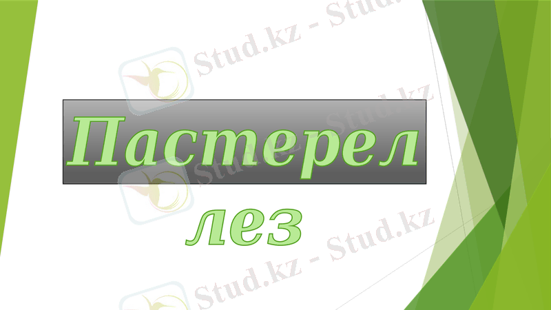 Slide 1