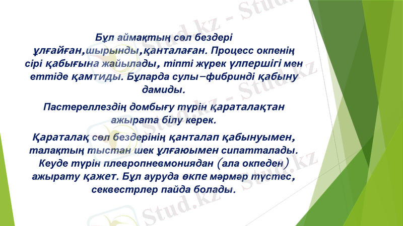 Slide 11