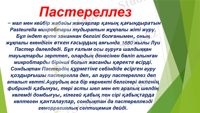 Slide 2