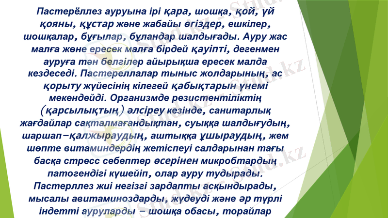 Slide 3