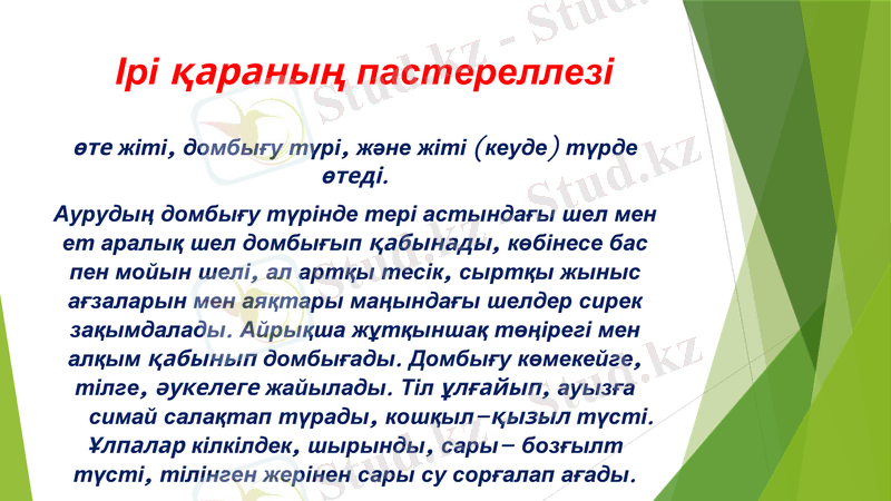 Slide 7