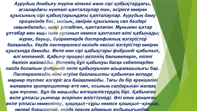 Slide 9