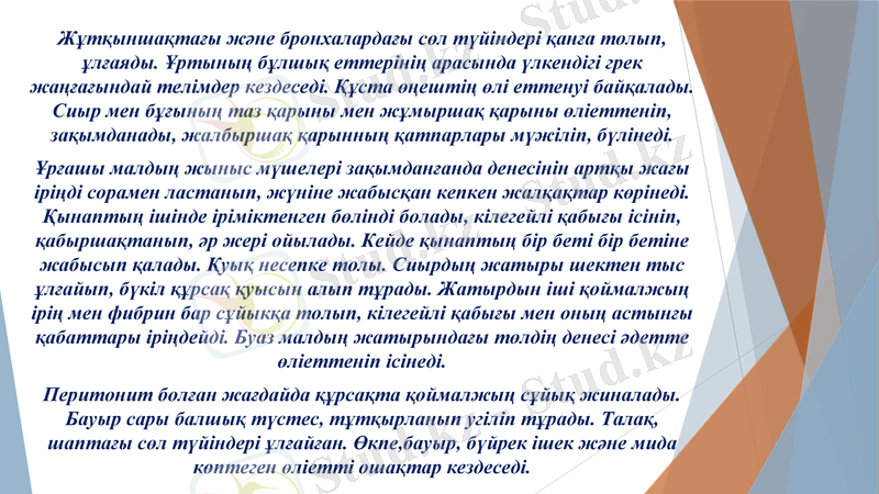 Slide 10