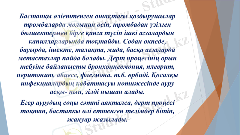Slide 7