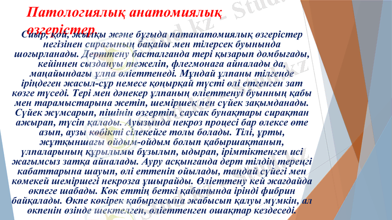 Slide 8