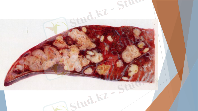 Slide 9