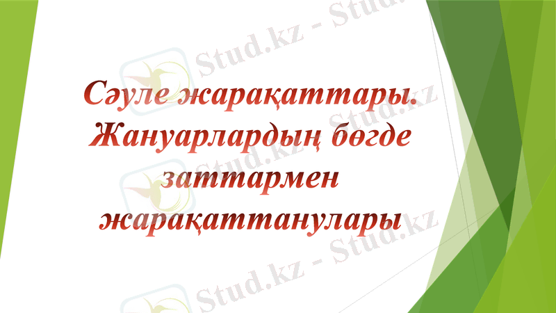 Slide 1