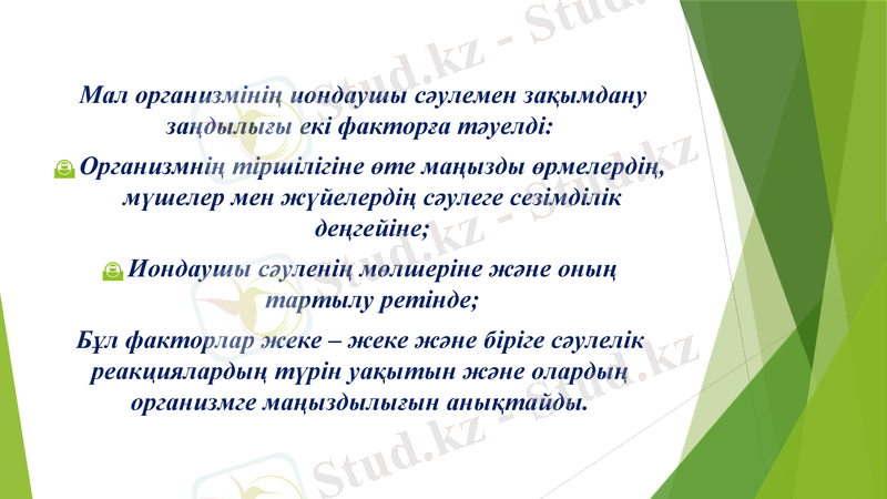 Slide 11