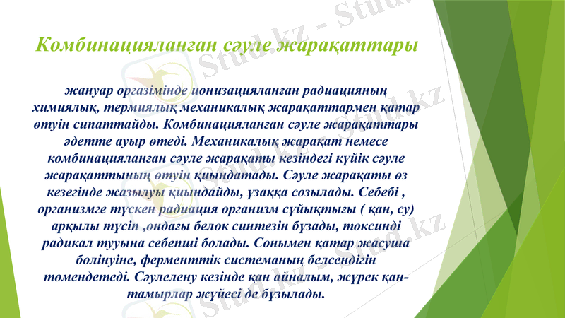 Slide 14