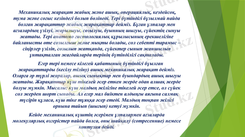 Slide 5