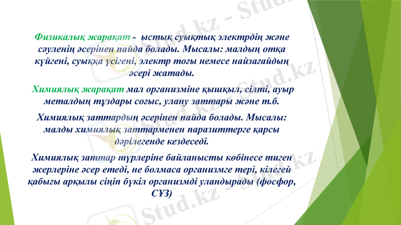 Slide 6