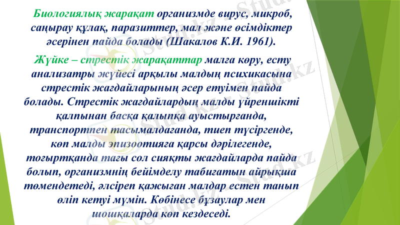 Slide 7