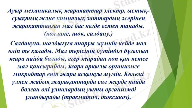 Slide 8