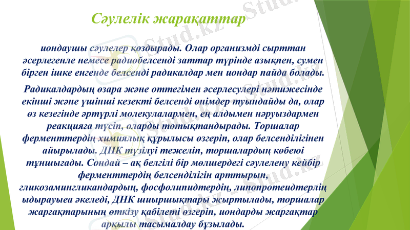 Slide 9
