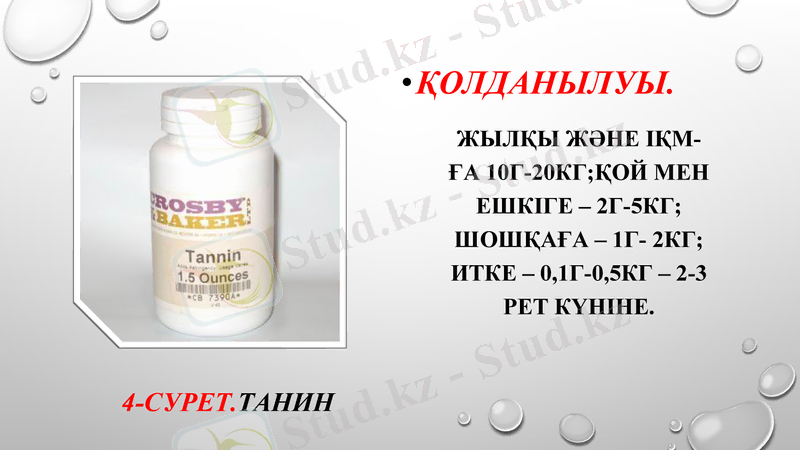Slide 10