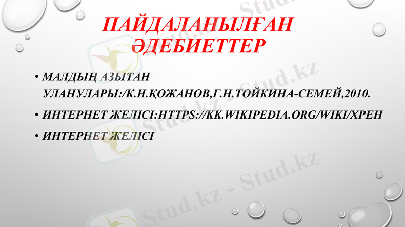Slide 11
