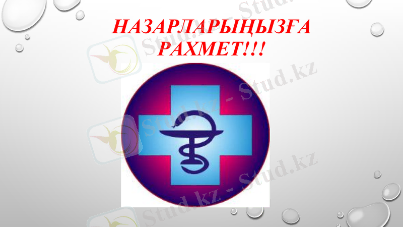 Slide 12