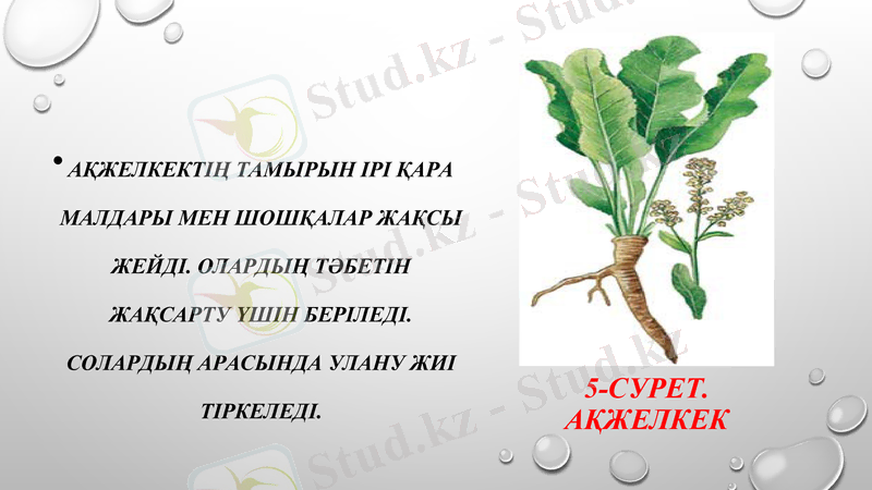 Slide 7