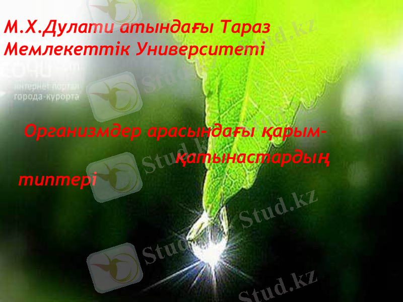 Slide 1