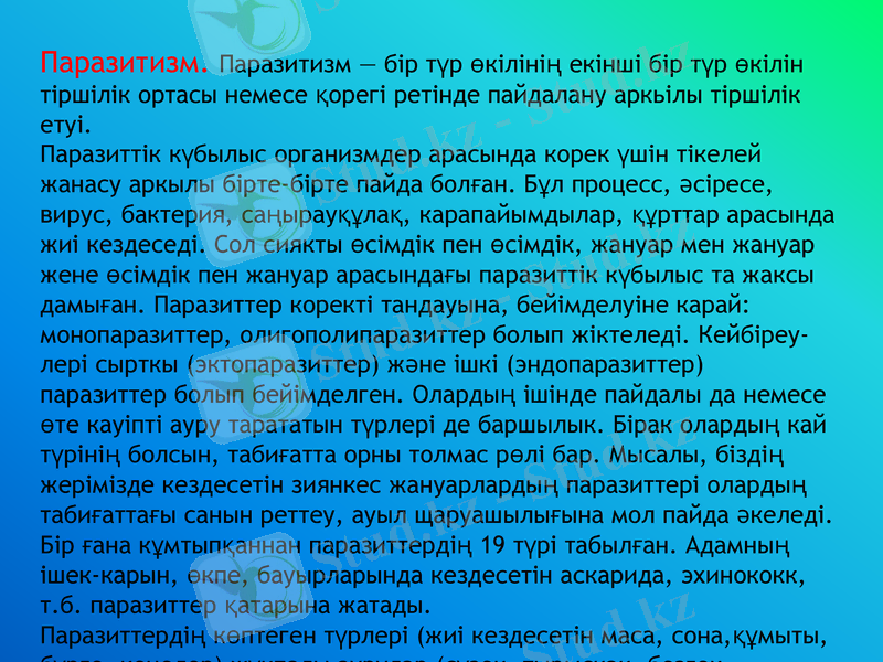 Slide 5