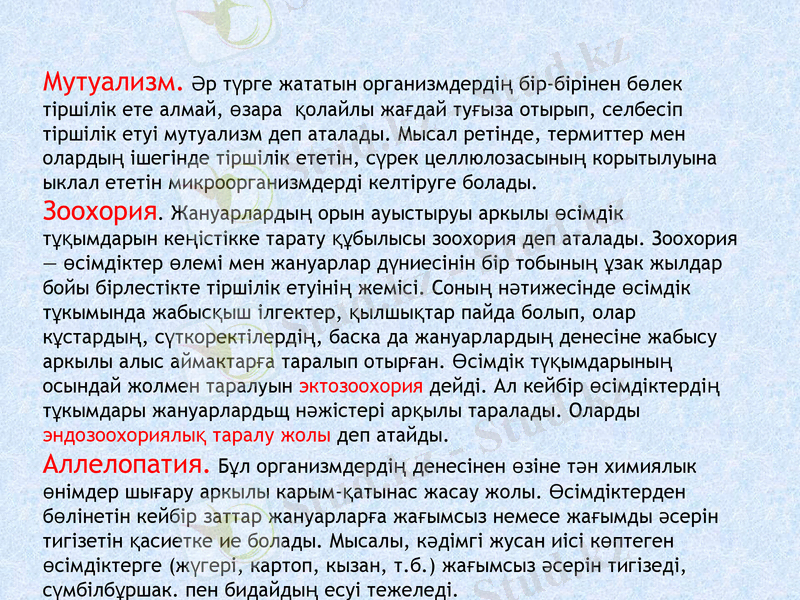 Slide 7