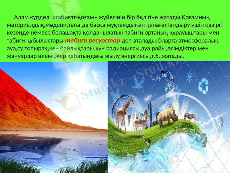 Slide 8