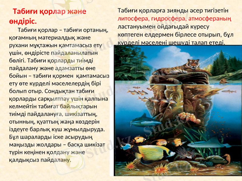 Slide 9