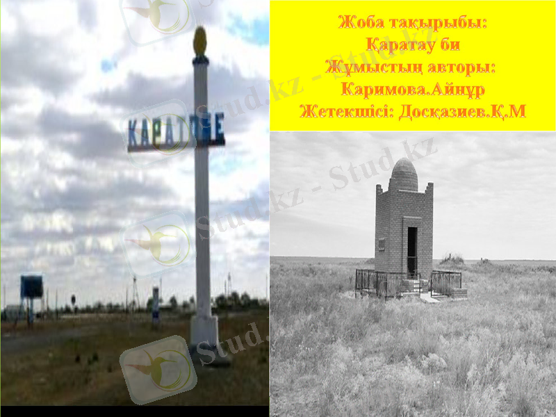 Slide 1