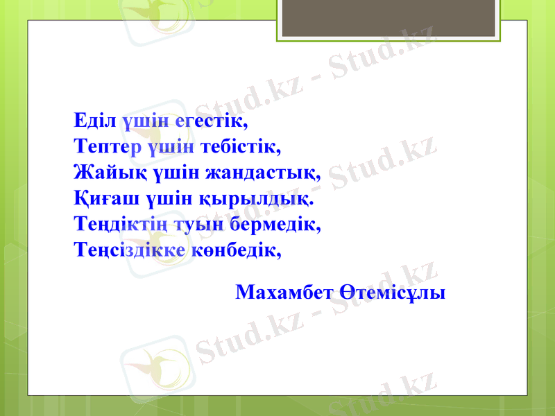 Slide 7
