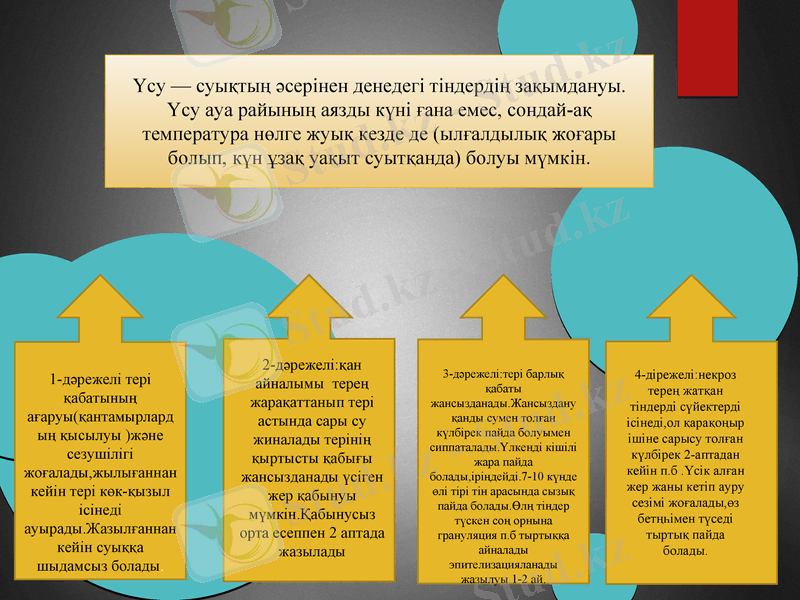 Slide 10