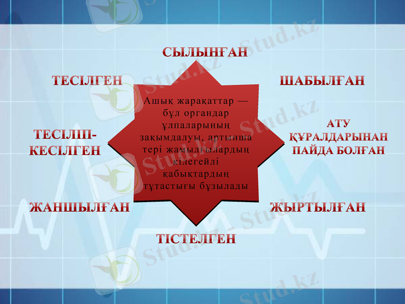 Slide 8