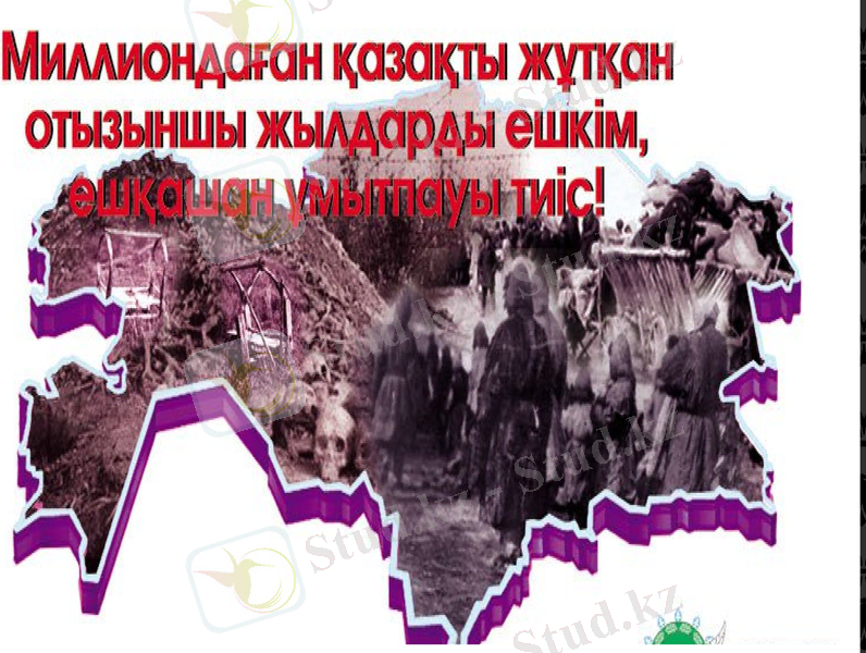 Slide 12