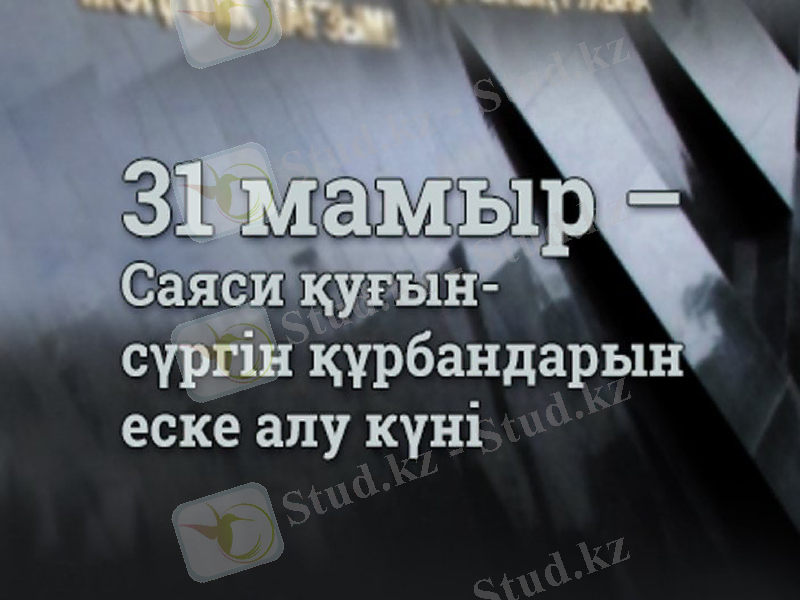 Slide 7
