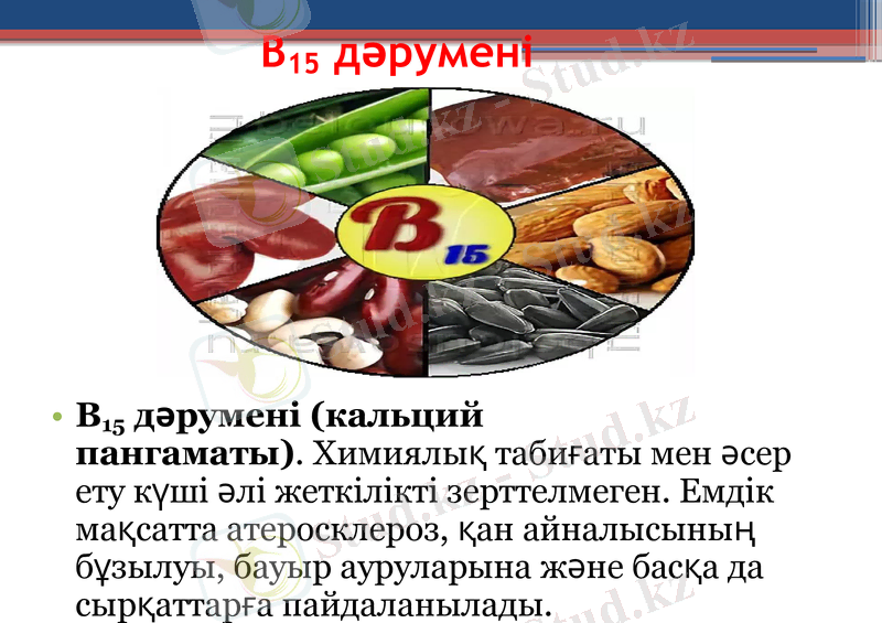 Slide 11