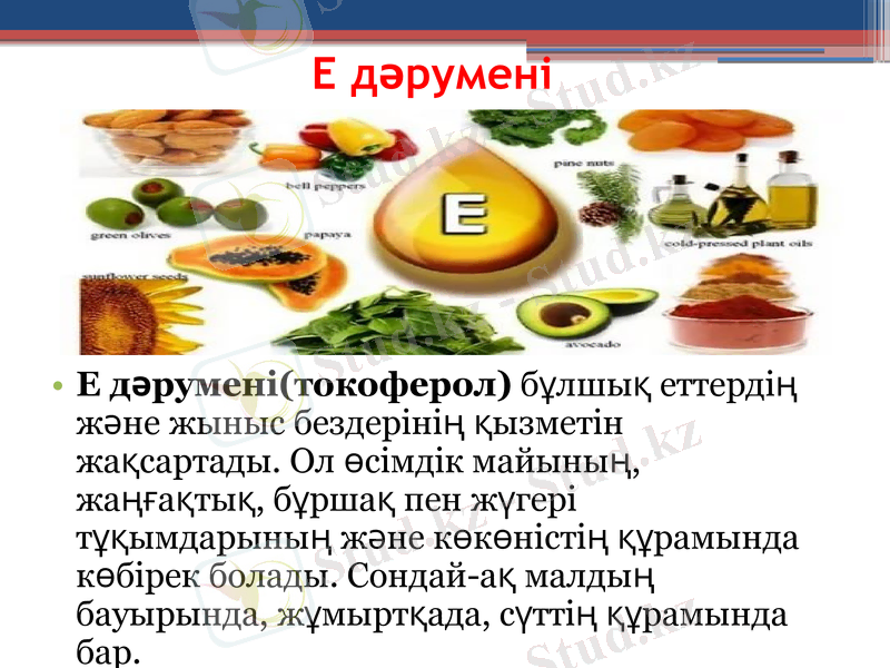 Slide 12