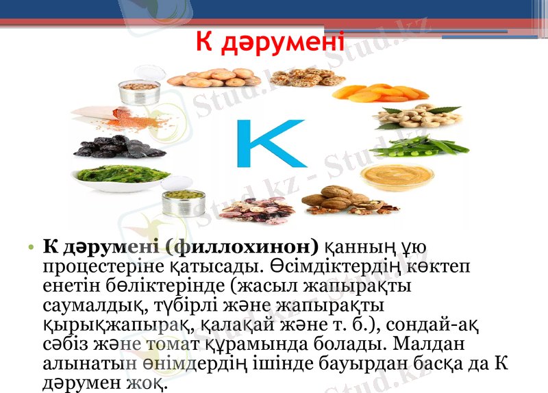 Slide 13