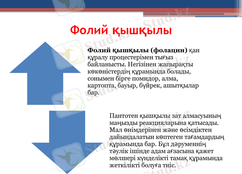 Slide 16