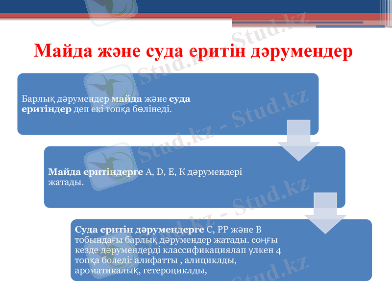 Slide 17
