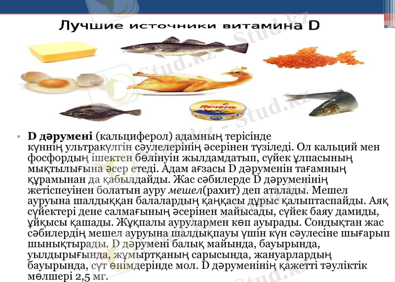 Slide 19