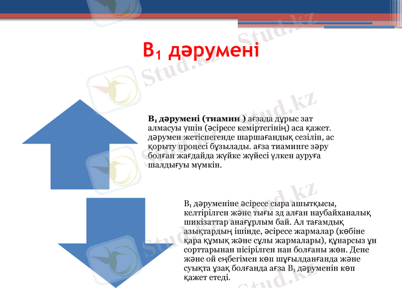 Slide 7