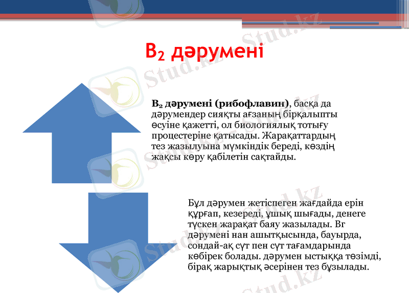 Slide 8