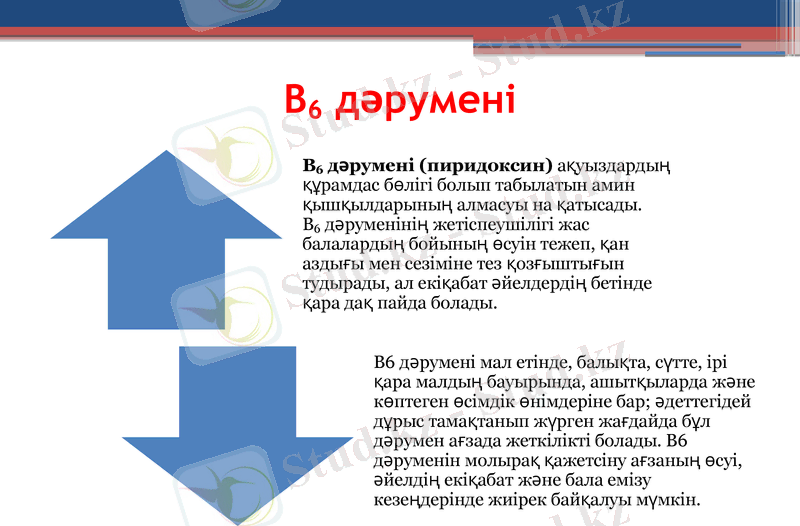 Slide 9
