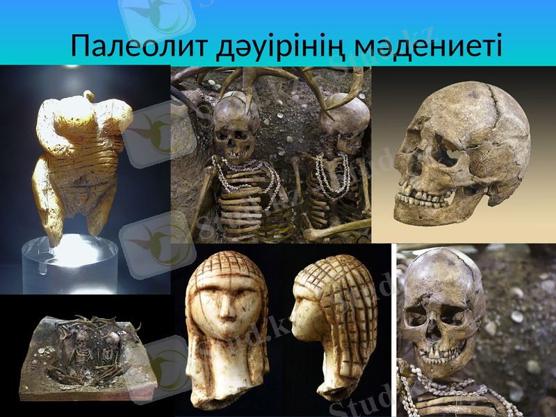 Slide 1