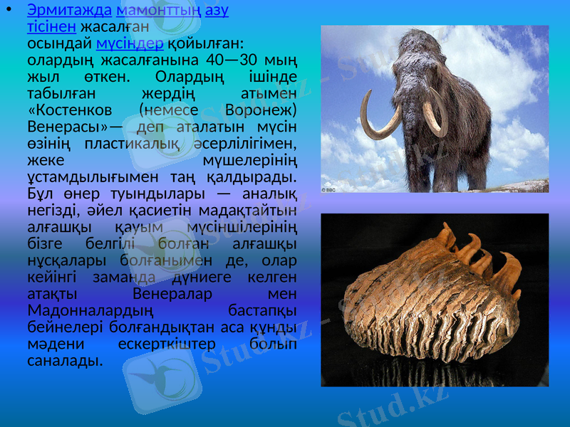 Slide 5